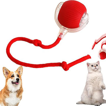 Interactive Rolling Ball for Dogs with Tail, Chase Mate Cat Toy, Electric Smart Automatic Rolling Pet Ball, Durable and Safe, Reduces Anxiety and Boredom