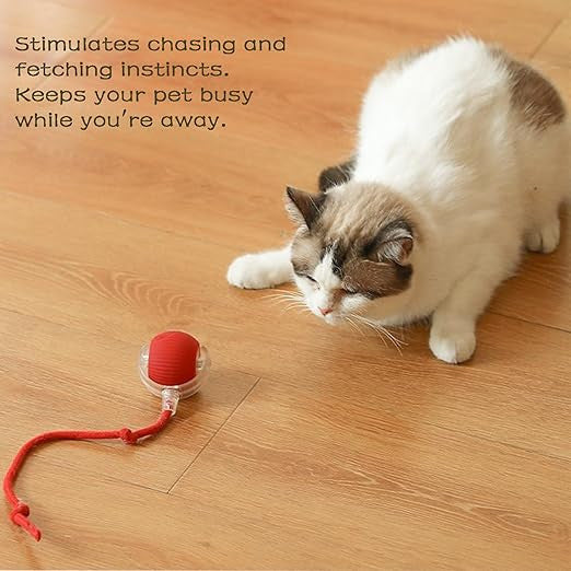 Interactive Rolling Ball for Dogs with Tail, Chase Mate Cat Toy, Electric Smart Automatic Rolling Pet Ball, Durable and Safe, Reduces Anxiety and Boredom